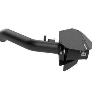 Ramair Carbon Induction Kit - BMW 335i (N55)